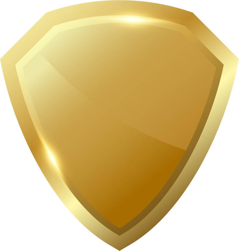 aegis service scudo protezione grande